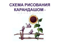 Схема рисования карандашом - подсолнух