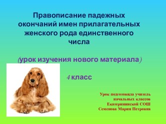 Правописание падежных окончаний имен прилагательных женского рода единственного числа