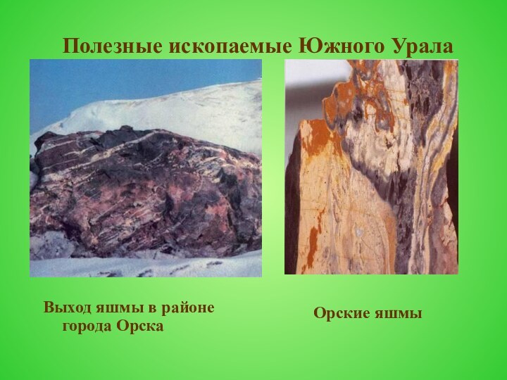 Полезные ископаемые Южного УралаВыход яшмы в районе города Орска      Орские яшмы