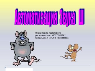 Автоматизация Звука Ш