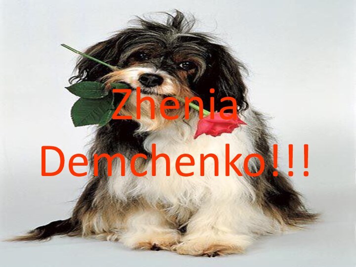 Zhenia Demchenko!!!