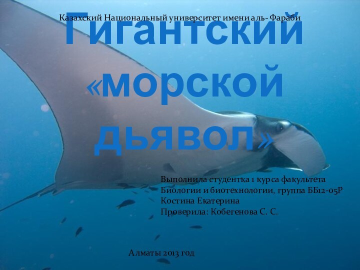 Гигантский «морской дьявол»Казахский Национальный университет имени аль- ФарабиВыполнила студентка 1 курса факультета