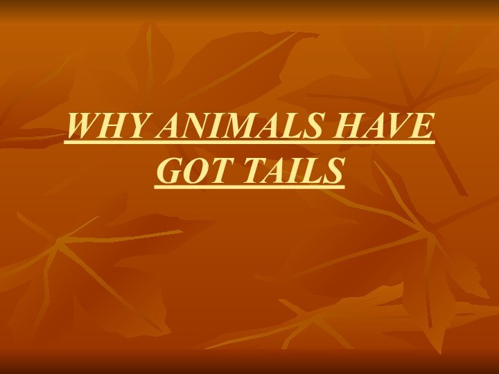 WHY ANIMALS HAVE GOT TAILS