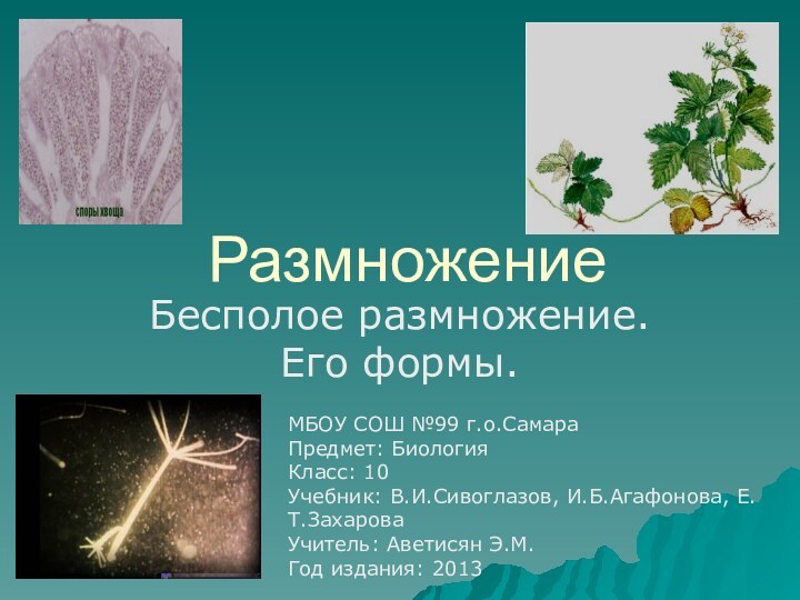 РазмножениеБесполое размножение. Его формы.МБОУ СОШ №99 г.о.СамараПредмет: БиологияКласс: 10Учебник: В.И.Сивоглазов, И.Б.Агафонова, Е.Т.ЗахароваУчитель: Аветисян Э.М.Год издания: 2013