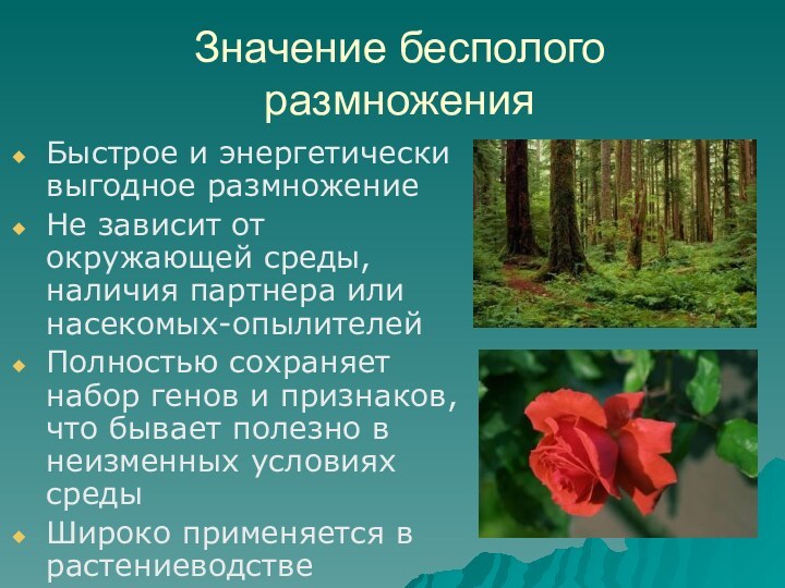 Значение бесполого размноженияБыстрое и энергетически выгодное размножениеНе зависит от окружающей среды, наличия