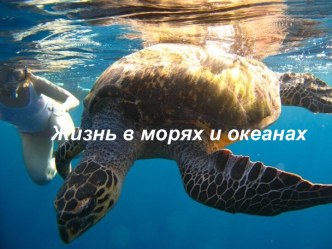 Жизнь в морях и океанах 5 класс