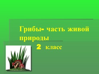 Грибы - часть живой природы