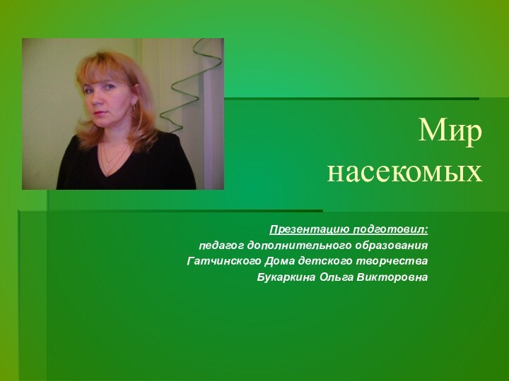 Мир  насекомых Презентацию подготовил:педагог дополнительного образования Гатчинского Дома детского творчестваБукаркина Ольга Викторовна