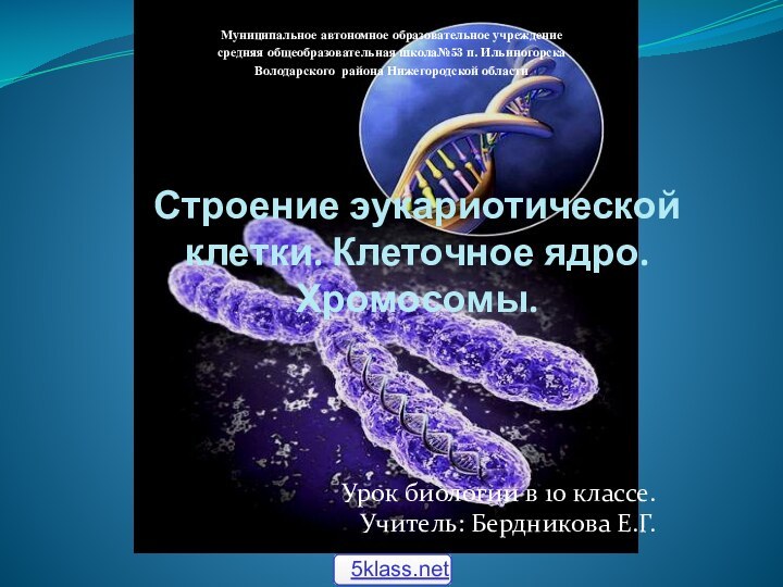 Урок биологии в 10 классе.Учитель: Бердникова Е.Г.Строение эукариотической клетки. Клеточное ядро. Хромосомы.Муниципальное