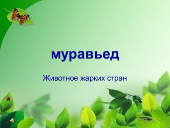 МУРАВЬЕД.ppt