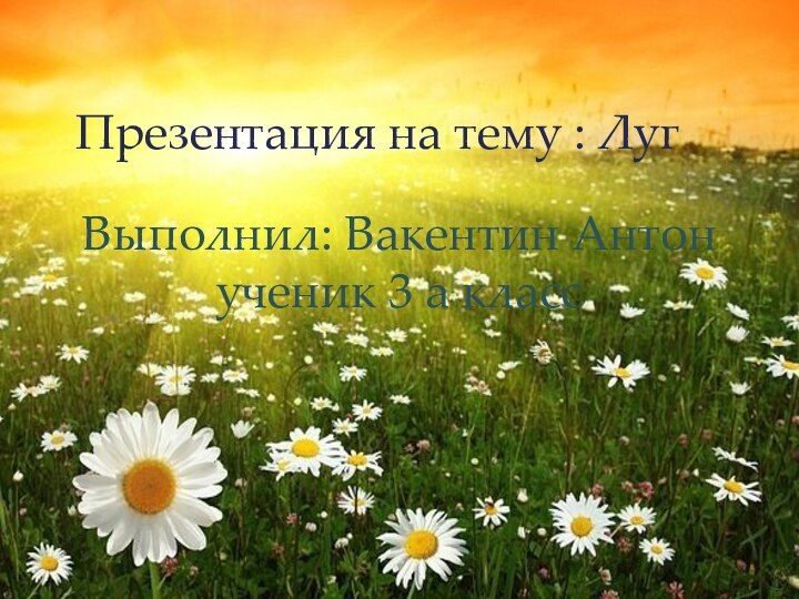 Презентация на тему : ЛугВыполнил: Вакентин Антон ученик 3 а класс