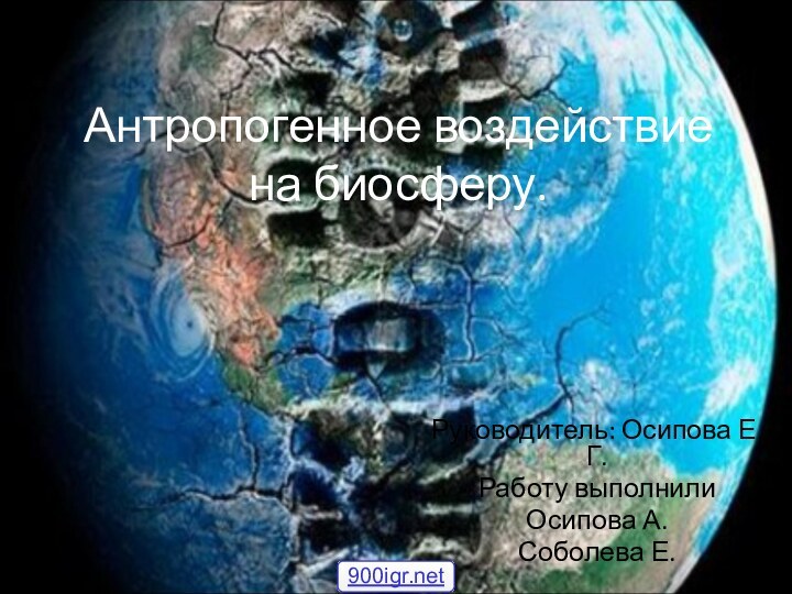 Антропогенное воздействие на биосферу.Руководитель: Осипова Е.Г.Работу выполнили Осипова А.Соболева Е.