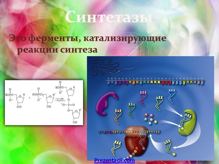 СинтетазыЭто ферменты, катализирующие реакции синтезаPrezentacii.com