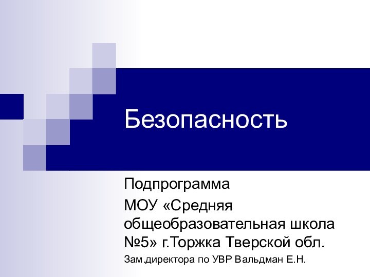 БезопасностьПодпрограммаМОУ «Средняя общеобразовательная школа №5» г.Торжка Тверской обл.Зам.директора по УВР Вальдман Е.Н.