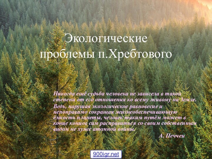 Экологические  проблемы п.ХребтовогоНикогда ещё судьба человека не зависела в такой степени