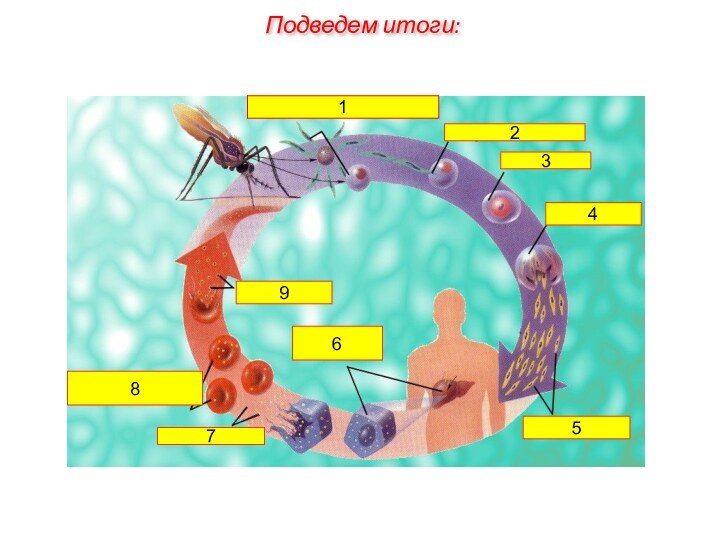 123456789Подведем итоги: