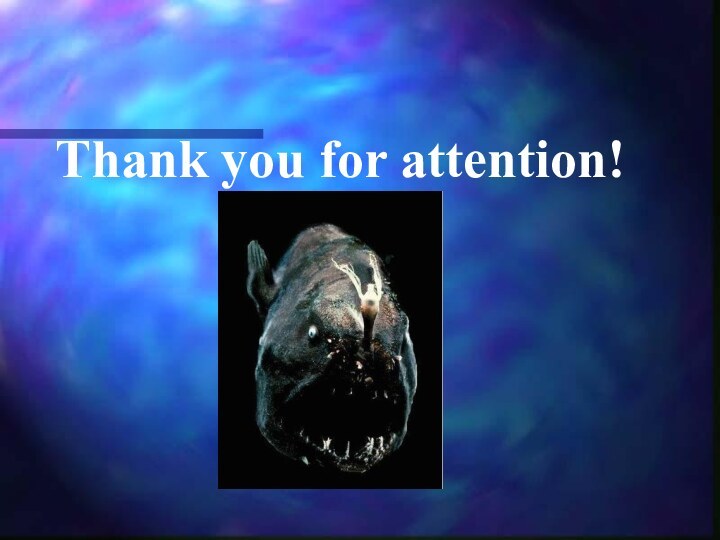 Thank you for attention!