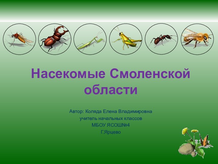 Насекомые Смоленской областиАвтор: Коляда Елена Владимировнаучитель начальных классовМБОУ ЯСОШ№4Г.Ярцево