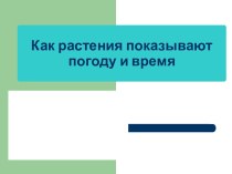 Как растения показывают погоду и время