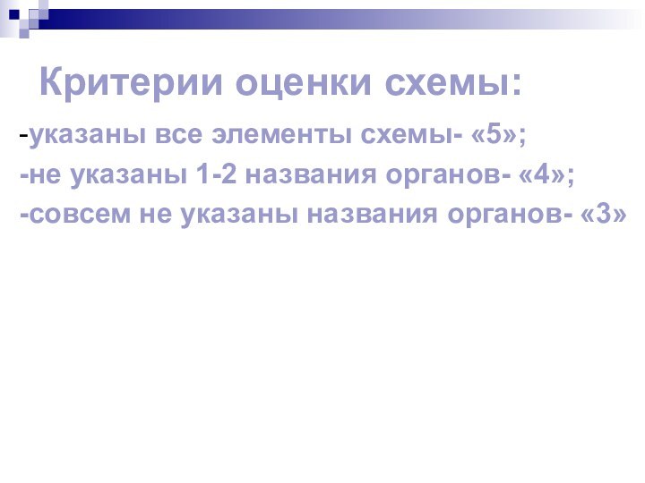 Критерии оценки схемы:-указаны все элементы схемы- «5»;-не указаны 1-2 названия органов- «4»;-совсем