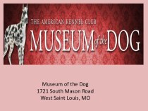 Museum of the Dog