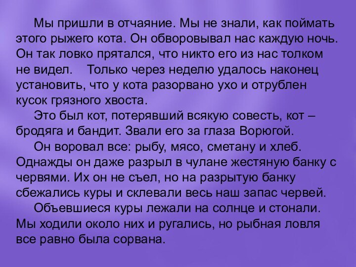 Мы пришли в отчаяние. Мы не знали, как поймать этого рыжего кота.