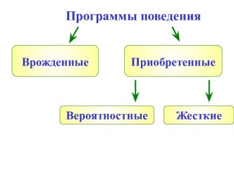 Сон, программы поведения