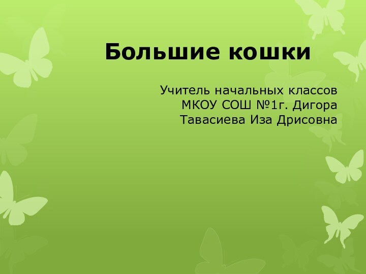 Учитель начальных классов МКОУ СОШ №1г. Дигора Тавасиева Иза Дрисовна Большие кошки