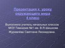 Устройство организма человека