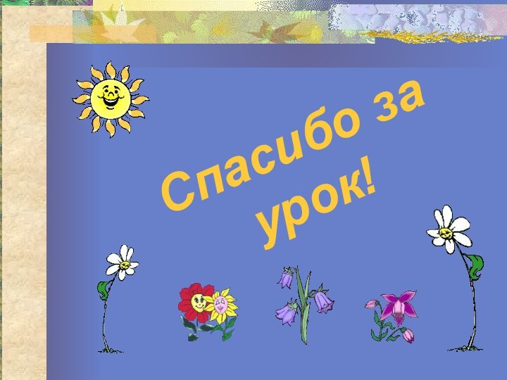 Спасибо за урок!