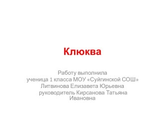 Клюква