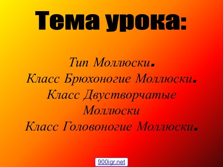 Тип Моллюски. Класс Брюхоногие Моллюски. Класс Двустворчатые Моллюски Класс Головоногие Моллюски.Тема урока: