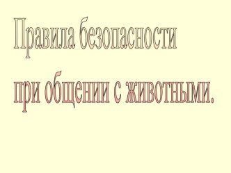 Правила безопасности при общении с животными