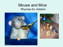 Mouse and Mice. Rhymes for children