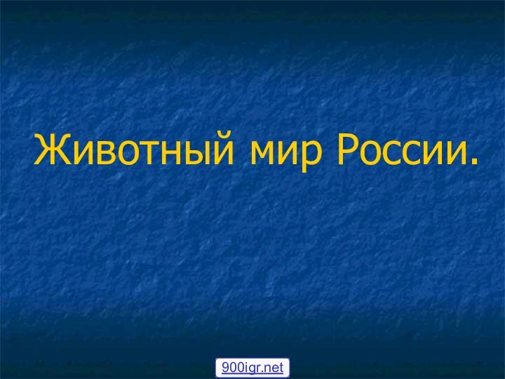 Животный мир России.