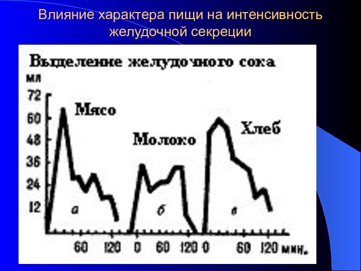 Влияние характера пищи на интенсивность желудочной секреции