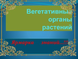 Вегетативные органы растений