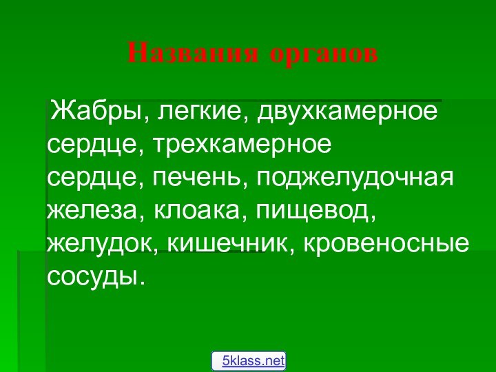 Названия органов  Жабры, легкие, двухкамерное сердце, трехкамерное сердце, печень, поджелудочная железа, клоака,