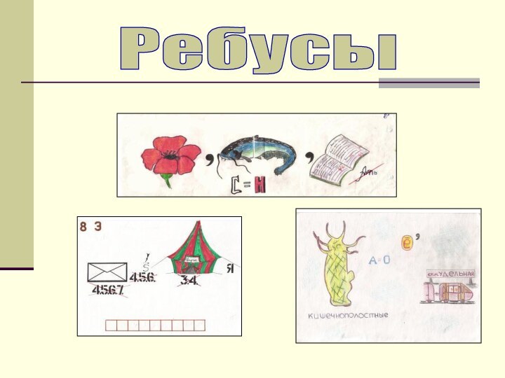 Ребусы