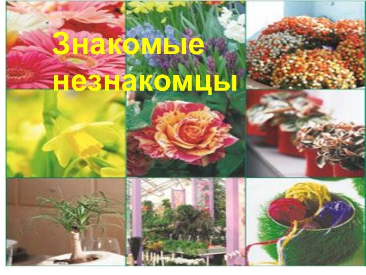 Знакомые незнакомцы