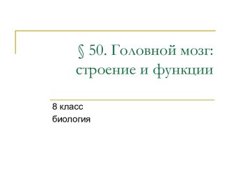 Презентация: Головной мозг – строение и функции