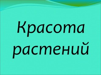 Урок Какие бывают растения?