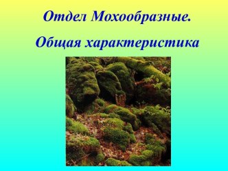 Отдел Мохообразные. Общая характеристика