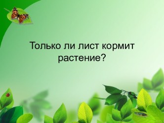 Только ли лист кормит растение?