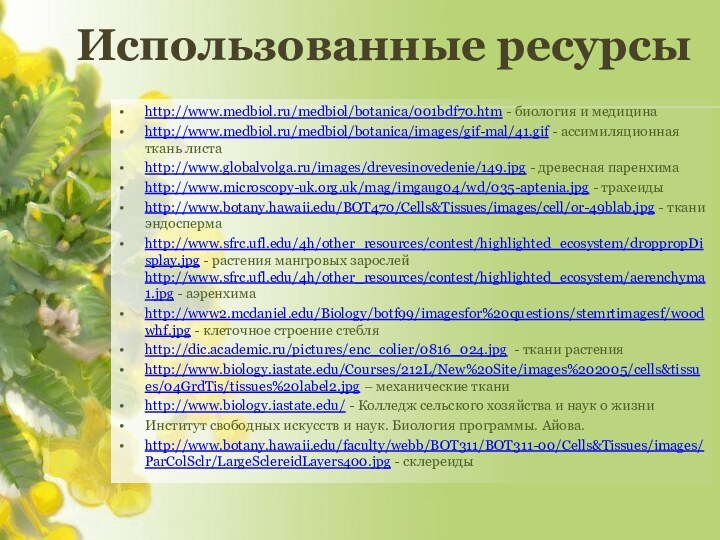 http://www.medbiol.ru/medbiol/botanica/001bdf70.htm - биология и медицинаhttp://www.medbiol.ru/medbiol/botanica/images/gif-mal/41.gif - ассимиляционная ткань листаhttp://www.globalvolga.ru/images/drevesinovedenie/149.jpg - древесная паренхимаhttp://www.microscopy-uk.org.uk/mag/imgaug04/wd/035-aptenia.jpg