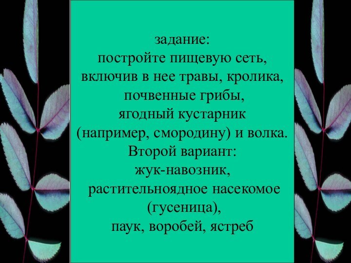 задание: постройте пищевую сеть, включив в нее травы, кролика, почвенные грибы, ягодный