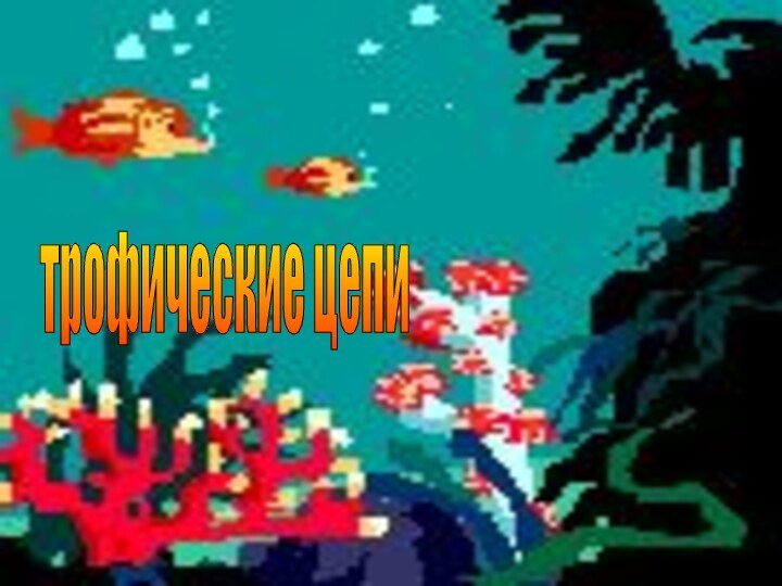 трофические цепи