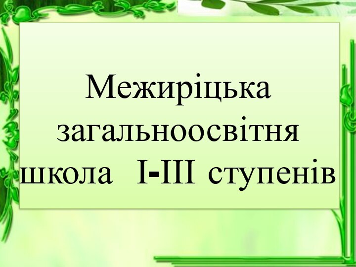 Межиріцька загальноосвітня  школа І-ІІІ ступенів