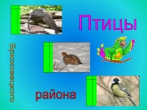 Птицы .