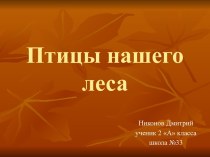 Птицы леса